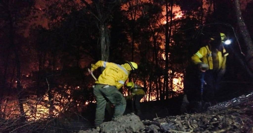 CDMX-moviliza-alrededor-de-4000-combatientes-y-fija-meta-de-reducir-10-la-afectacion-por-incendios-en-2026