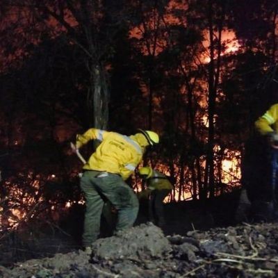 CDMX-moviliza-alrededor-de-4000-combatientes-y-fija-meta-de-reducir-10-la-afectacion-por-incendios-en-2026