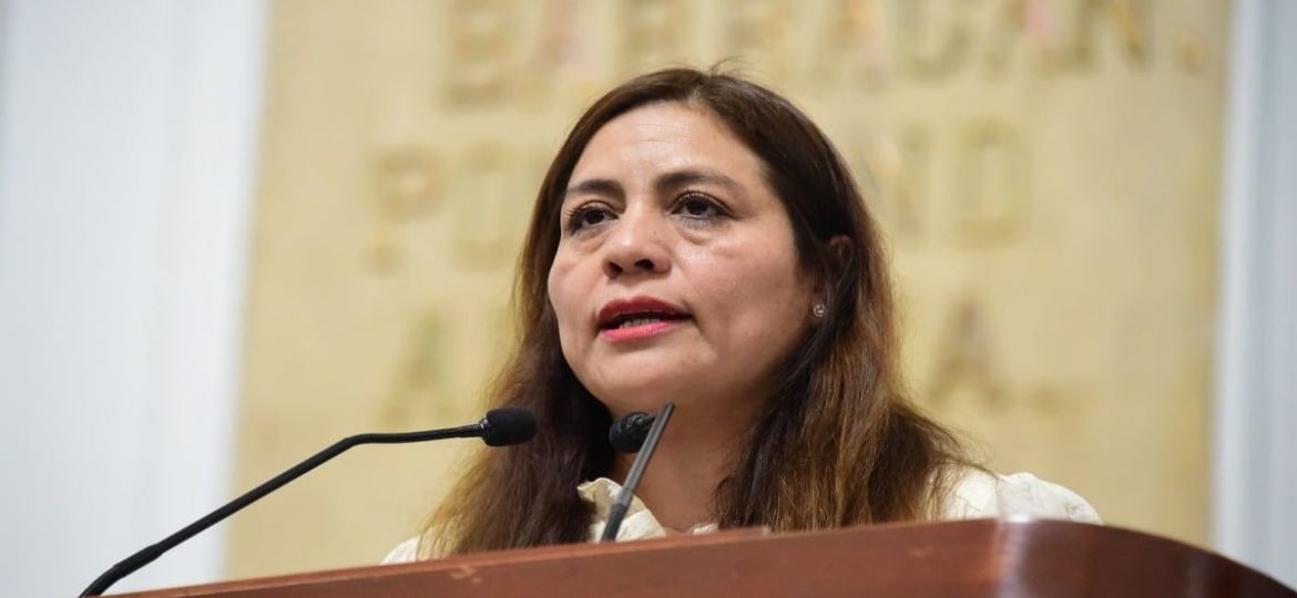 Diputadas-del-PVEM-proponen-que-refugios-de-la-CDMX-reciban-a-mujeres-violentadas-con-sus-mascotas