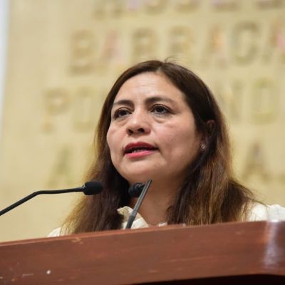 Diputadas-del-PVEM-proponen-que-refugios-de-la-CDMX-reciban-a-mujeres-violentadas-con-sus-mascotas