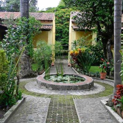 El-Jardin-Etnobotanico-del-INAH-en-Morelos-marca-cinco-decadas-como-refugio-de-plantas-y-saberes