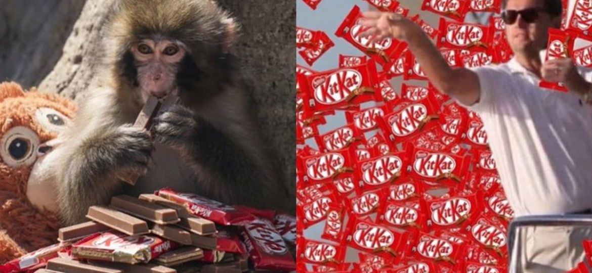 El-gran-atraco-de-KitKat-12-toneladas-de-barras-desaparecen-en-transito-por-Europa