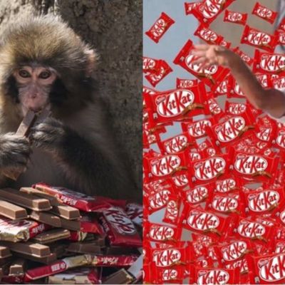 El-gran-atraco-de-KitKat-12-toneladas-de-barras-desaparecen-en-transito-por-Europa