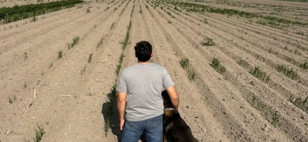 Sequia-y-falta-de-financiamiento-presionan-la-siembra-de-sorgo-en-Tamaulipas