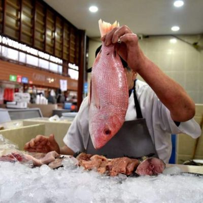 Benito-Juarez-invita-a-consumir-mariscos-en-mercados-publicos-durante-Semana-Santa