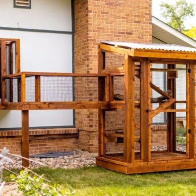 Catio-que-es-como-se-disena-y-sus-beneficios-para-los-gatos