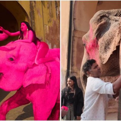 Muere-Chanchal-elefante-pintado-de-rosa-en-una-sesion-fotografica-en-Jaipur