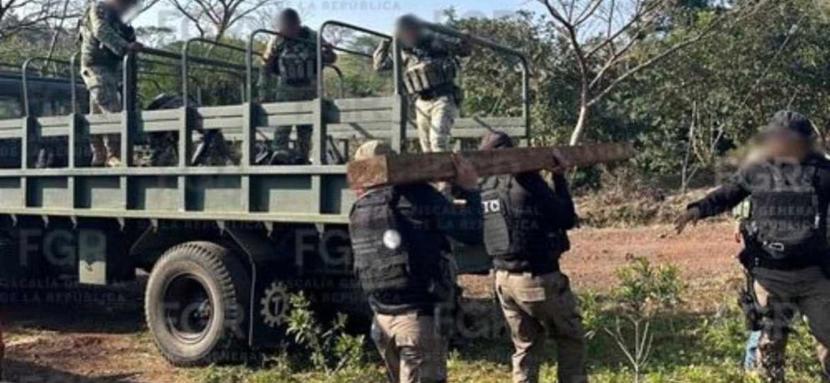No-hay-confirmacion-publica-del-decomiso-de-34-tablones-en-la-Reserva-de-la-Biosfera-San-Andres-Tuxtla