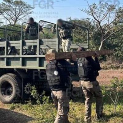 No-hay-confirmacion-publica-del-decomiso-de-34-tablones-en-la-Reserva-de-la-Biosfera-San-Andres-Tuxtla