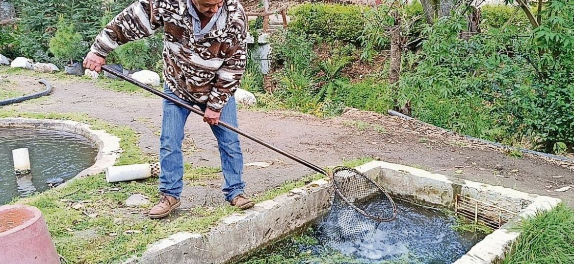 No-hay-fuentes-web-publicas-verificables-¿usar-el-material-que-nos-diste-para-escribir-el-reportaje