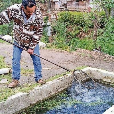 No-hay-fuentes-web-publicas-verificables-¿usar-el-material-que-nos-diste-para-escribir-el-reportaje