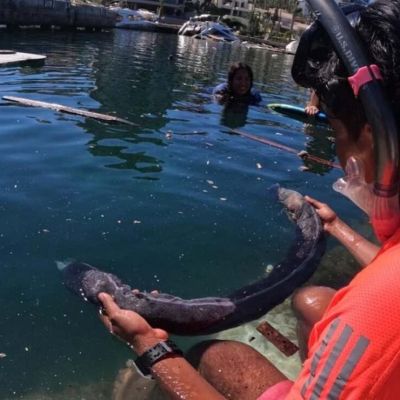No-se-verifica-en-medios-la-jornada-de-solidaridad-en-Oaxaca-el-derrame-en-el-Golfo-registra-cifras-y-alcance-contradictorios