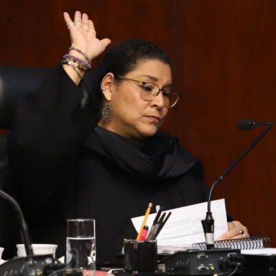 SCJN-ordena-al-IMSS-entregar-lentes-audifonos-y-protesis-a-menores-Lenia-Batres-vota-en-contra