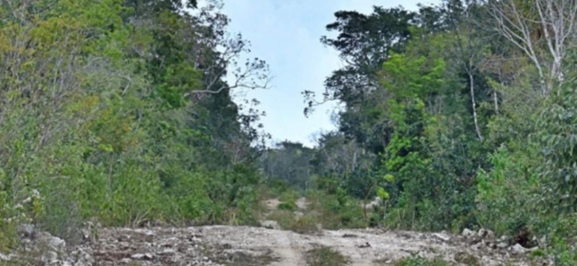 Selvame-MX-denuncia-que-Sedena-retoma-obras-en-zona-clausurada-de-Tulum-y-alerta-sobre-riesgo-al-sistema-Sac-Actun