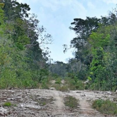 Selvame-MX-denuncia-que-Sedena-retoma-obras-en-zona-clausurada-de-Tulum-y-alerta-sobre-riesgo-al-sistema-Sac-Actun