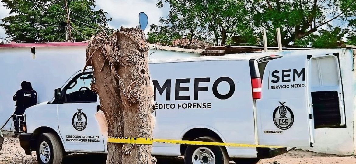 Senadora-del-PRI-advierte-que-la-guerra-entre-facciones-del-cartel-de-Sinaloa-golpea-la-actividad-economica