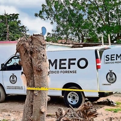Senadora-del-PRI-advierte-que-la-guerra-entre-facciones-del-cartel-de-Sinaloa-golpea-la-actividad-economica