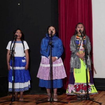 Senasica-y-UACh-lanzan-campana-en-11-lenguas-indigenas-para-combatir-el-gusano-barrenador