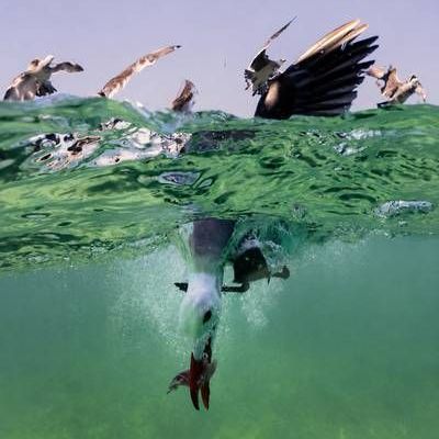 Banamex-inaugura-en-Guadalajara-El-Mexico-de-los-mexicanos-con-55-fotografias