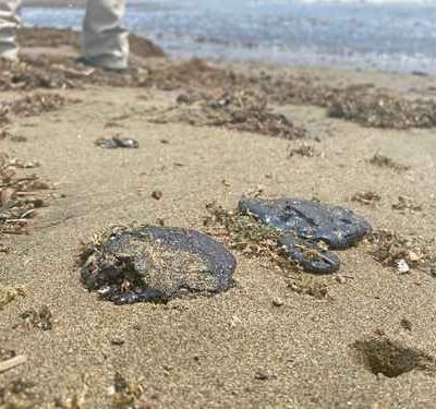 Chapopote-continua-arribando-a-playas-de-Coatzacoalcos-y-pone-en-riesgo-a-tortugas-marinas