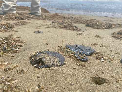 Chapopote-continua-arribando-a-playas-de-Coatzacoalcos-y-pone-en-riesgo-a-tortugas-marinas
