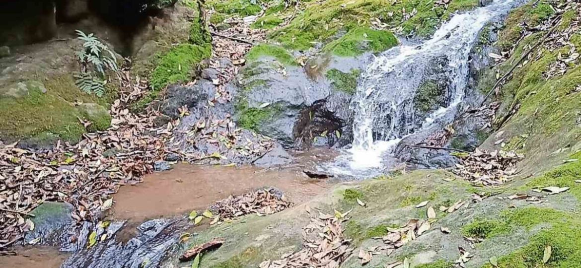 Continua-remediacion-tras-derrame-que-contamino-manantiales-en-Magdalena-Chichicaspa-Huixquilucan