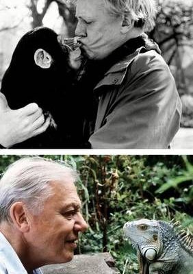 David-Attenborough-celebra-su-centenario-el-8-de-mayo-de-2026-3