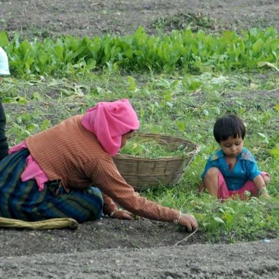 Gobierno-federal-proyecta-inversion-historica-de-17266-millones-de-pesos-para-el-campo-de-Zacatecas