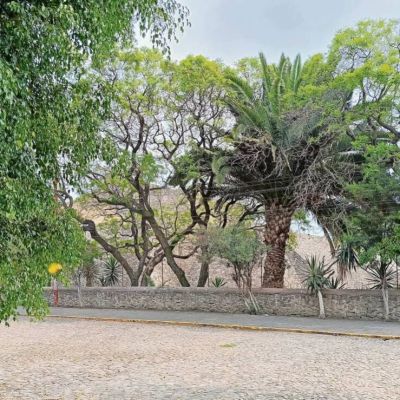 Intervienen-10-zonas-arqueologicas-del-Edomex-por-programa-de-mejora