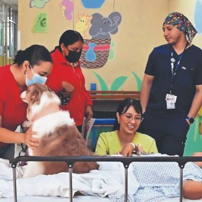 Lomitos-disminuyen-el-estres-en-ninos-hospitalizados-programa-del-Instituto-Nacional-de-Pediatria-supera-2700-atenciones